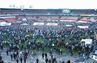 Rasen holen