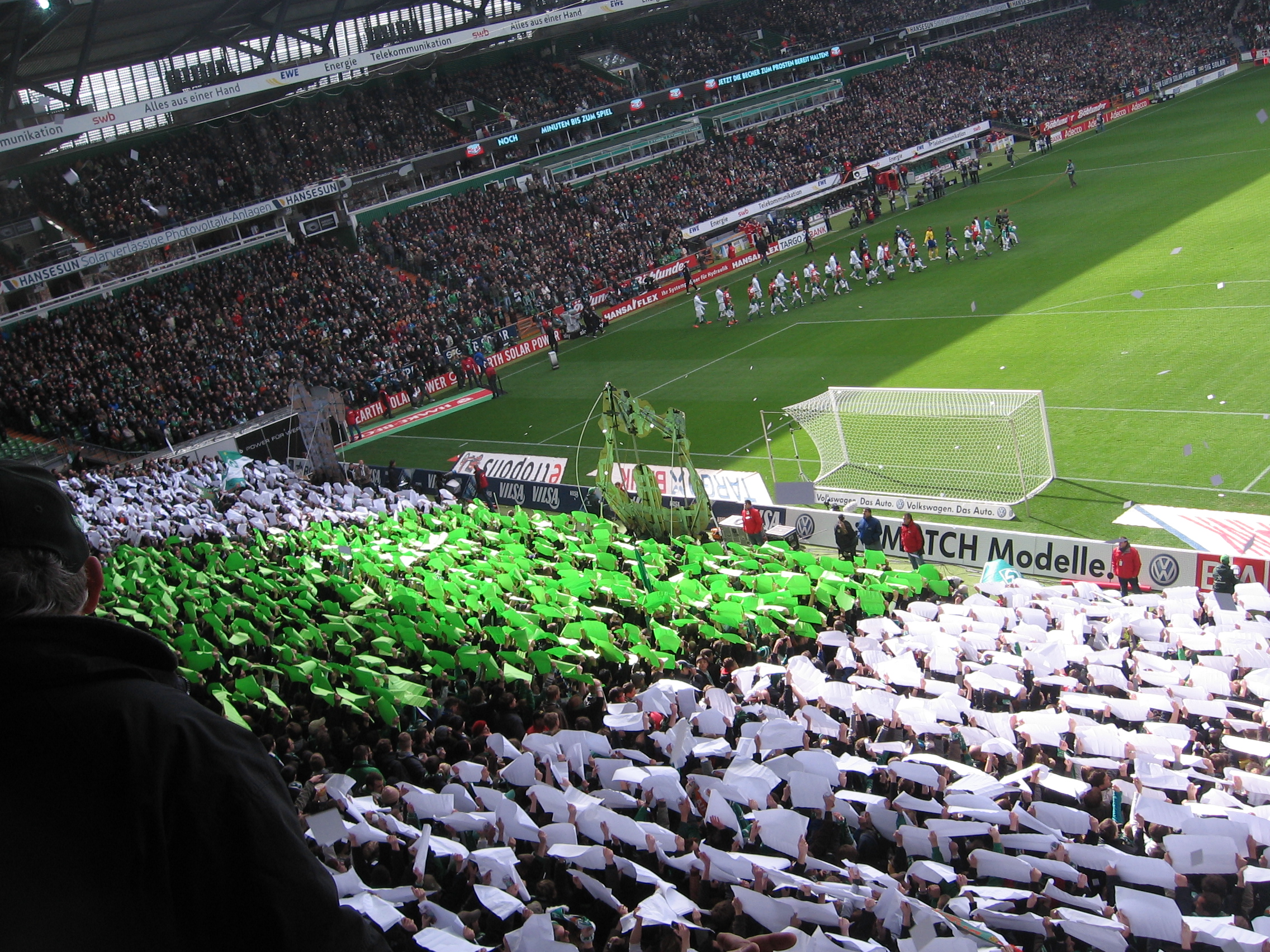 ...lebenskang gr&uuml;n-weiss!