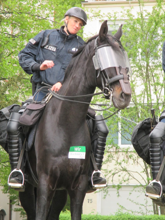 Werder Pferd
